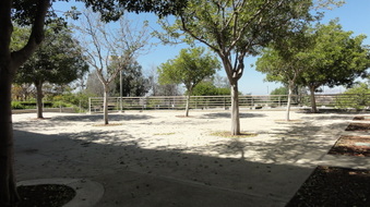 Enlarge photo 10