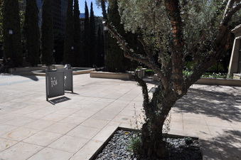 Enlarge photo 22