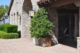 Enlarge photo 62