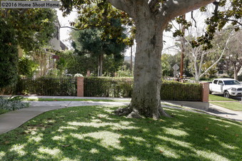 Enlarge photo 3