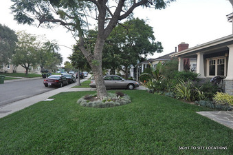 Enlarge photo 5