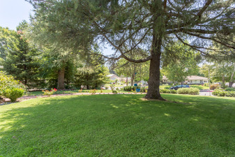 Enlarge photo 3