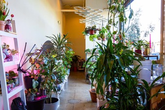Enlarge photo 9