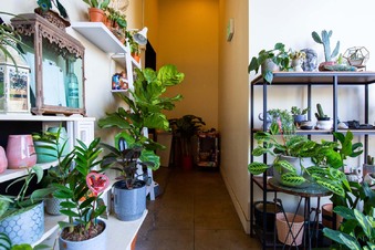 Enlarge photo 10
