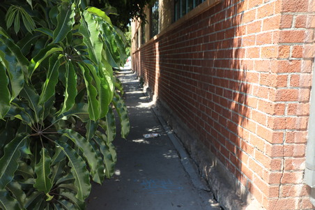 Enlarge photo 129