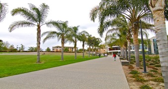 LOYOLA MARYMOUNT UNIVERSITY