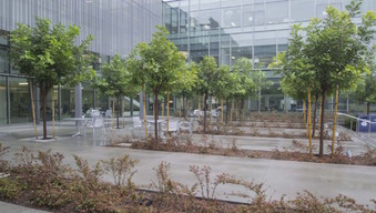 Enlarge photo 33