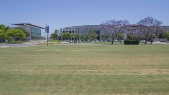 Enlarge photo 56