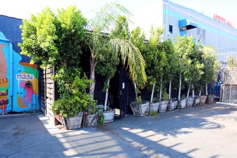 Enlarge photo 34