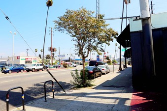 Enlarge photo 35