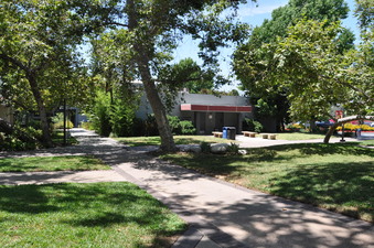 Enlarge photo 63