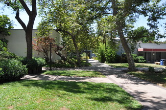 Enlarge photo 64