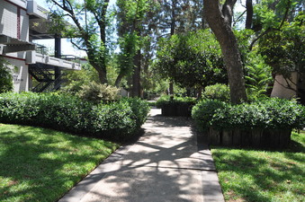 Enlarge photo 65