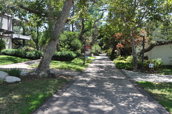 Enlarge photo 70
