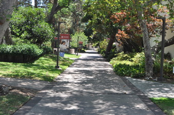 Enlarge photo 71