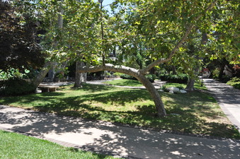 Enlarge photo 72