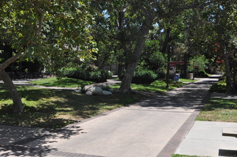 Enlarge photo 73