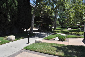 Enlarge photo 76