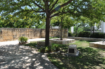 Enlarge photo 103
