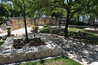 Enlarge photo 109