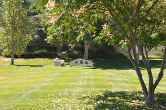 Enlarge photo 10