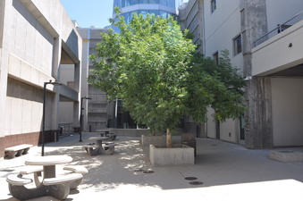 Enlarge photo 34