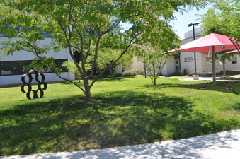 Enlarge photo 79
