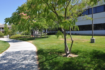 Enlarge photo 80