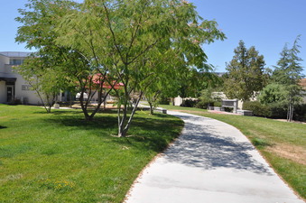 Enlarge photo 83