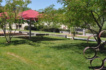 Enlarge photo 84