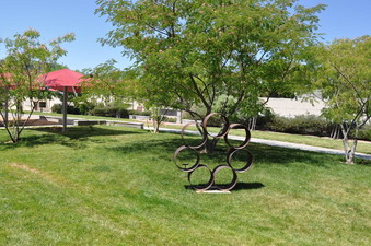 Enlarge photo 85