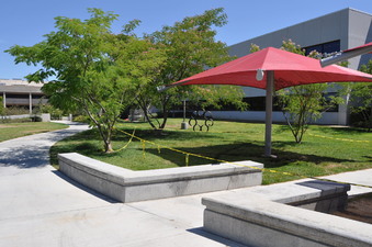 Enlarge photo 86