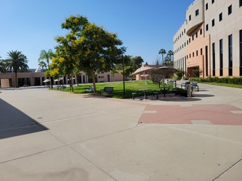 Enlarge photo 37