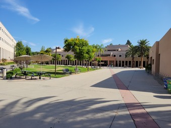 Enlarge photo 38