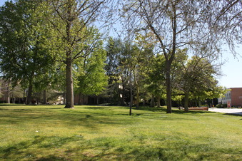 Enlarge photo 78