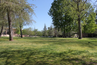 Enlarge photo 79