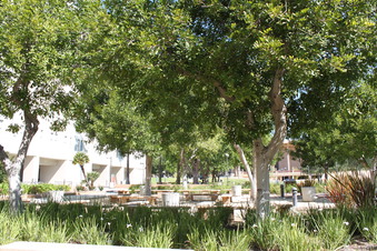 Enlarge photo 83