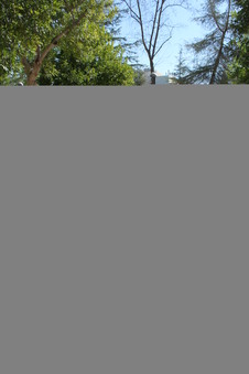 Enlarge photo 109