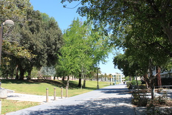 Enlarge photo 2