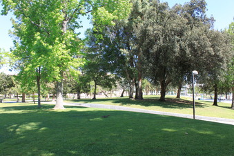 Enlarge photo 7