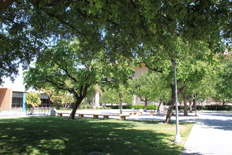 Enlarge photo 13