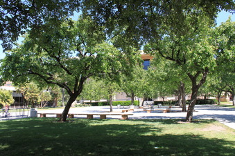 Enlarge photo 14