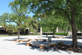 Enlarge photo 16