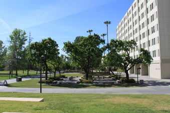 Enlarge photo 90