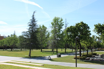 Enlarge photo 91
