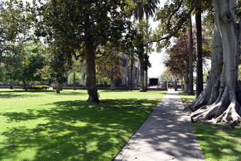 Enlarge photo 39