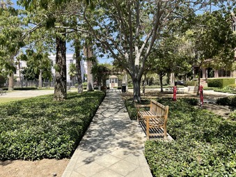 Enlarge photo 46