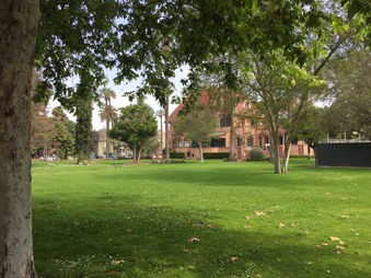 Enlarge photo 19