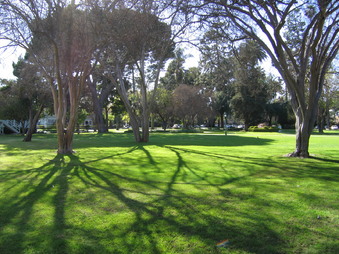Enlarge photo 25
