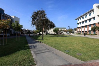 Enlarge photo 232
